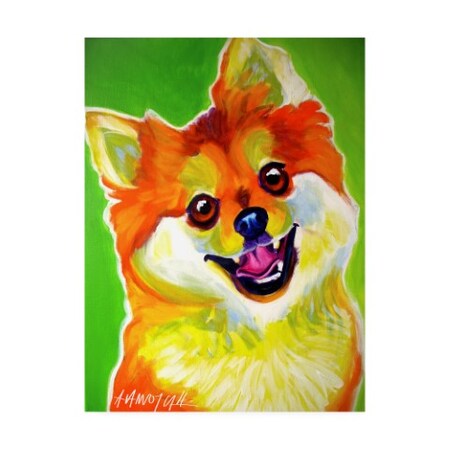 Trademark Fine Art DawgArt 'Pomeranian Tiger' Canvas Art, 35x47 ALI47052-C3547GG